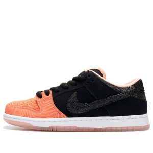 Nike Premier x Dunk Low Pro SB ‘Fish Ladder’