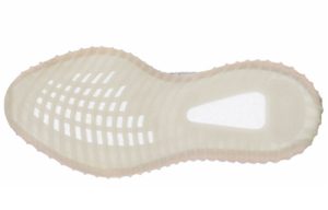 Adidas Yeezy Boost 350 V2 “True Form”